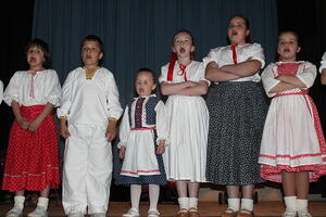 Den matek 2014