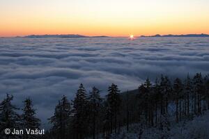 Foto Jan Vašut