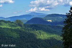 Foto Jan Vašut
