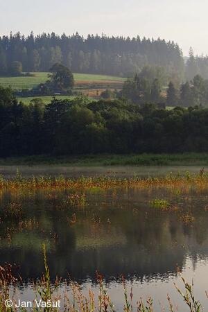 Foto Jan Vašut