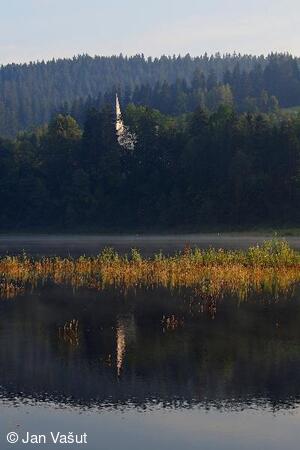 Foto Jan Vašut