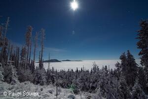 Foto Pavel Špurek