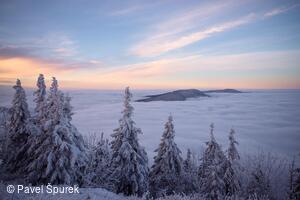 Foto Pavel Špurek