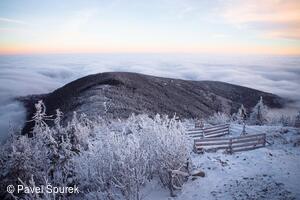 Foto Pavel Špurek