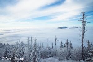 Foto Pavel Špurek