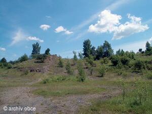 významný krajinný prvek ?Hončova hůrka? ? 336 m nadmořské výšky