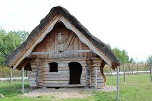 Časy