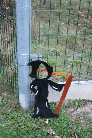 Časy