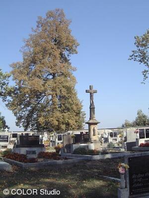 Hřbitov u kostela