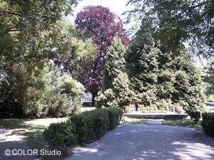 Park v Odrách