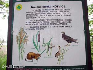 Naučná stezka KOTVICE