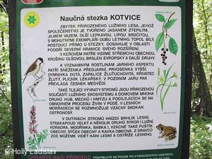Naučná stezka KOTVICE