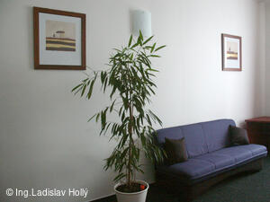 Hotel CENTRUM****