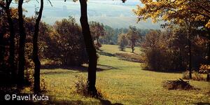 Suchovské Mlýny, krajina