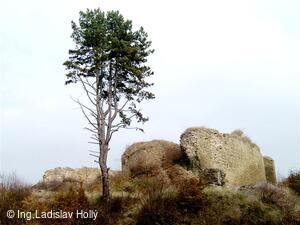 Zřícenina hradu Šelenburk (Šelenburg, Lobenstein)