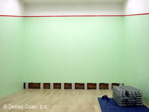 DENAS COLOR, a.s. - 35