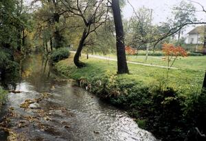 Potůček