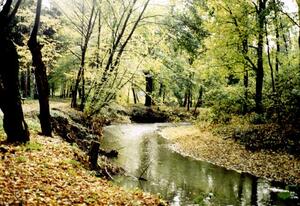 Park