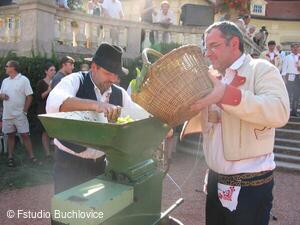 Folklorní studio Buchlovice