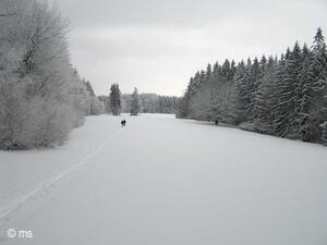 Běžky