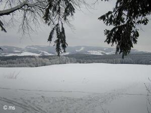 Běžky