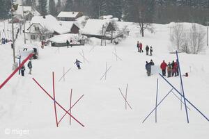 Dualsnow