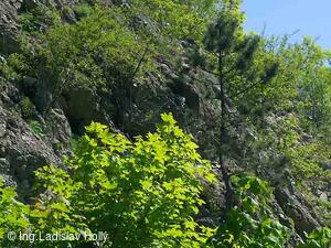 Hrad Starý Jičín 2004-05-21