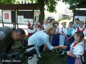 Jihočeský folklorní festival