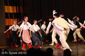 Mezinárodní armádní festival Rožnovská Valaška