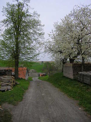 záhumení