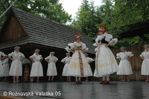 Mezinárodní armádní festival Rožnovská Valaška