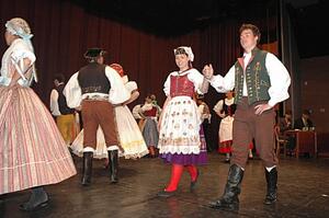 Mezinárodní armádní festival Rožnovská Valaška