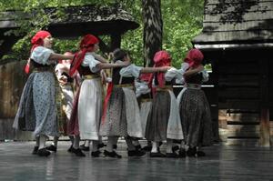 Mezinárodní armádní festival Rožnovská Valaška