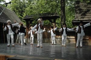 Mezinárodní armádní festival Rožnovská Valaška