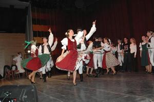Mezinárodní armádní festival Rožnovská Valaška
