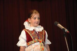 Mezinárodní armádní festival Rožnovská Valaška