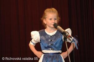 Mezinárodní armádní festival Rožnovská Valaška