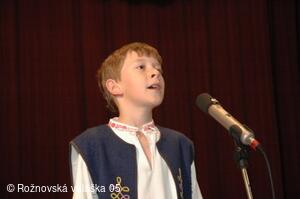 Mezinárodní armádní festival Rožnovská Valaška