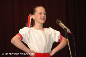 Mezinárodní armádní festival Rožnovská Valaška