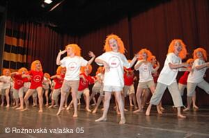 Mezinárodní armádní festival Rožnovská Valaška
