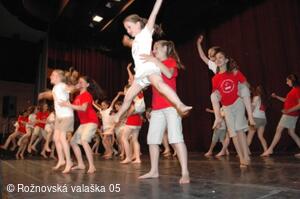 Mezinárodní armádní festival Rožnovská Valaška