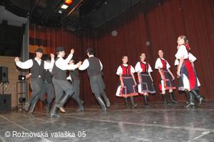 Mezinárodní armádní festival Rožnovská Valaška
