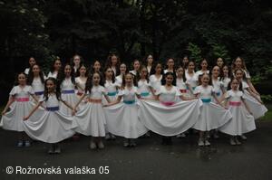 Mezinárodní armádní festival Rožnovská Valaška