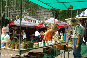 Folklorní festival Slezské dny