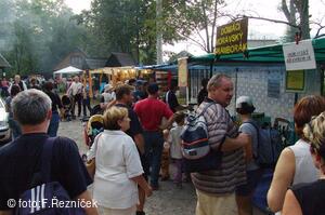 Folklorní festival Slezské dny