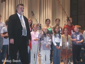 Jihočeské folklorní sdružení