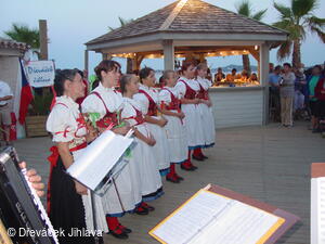 Folklorní soubor Dřeváček