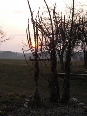 Meditační a relaxační centrum NATARAJ Skalka u Doks