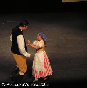 Folklorní festival Polabská Vonička