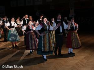Jihočeské folklorní sdružení